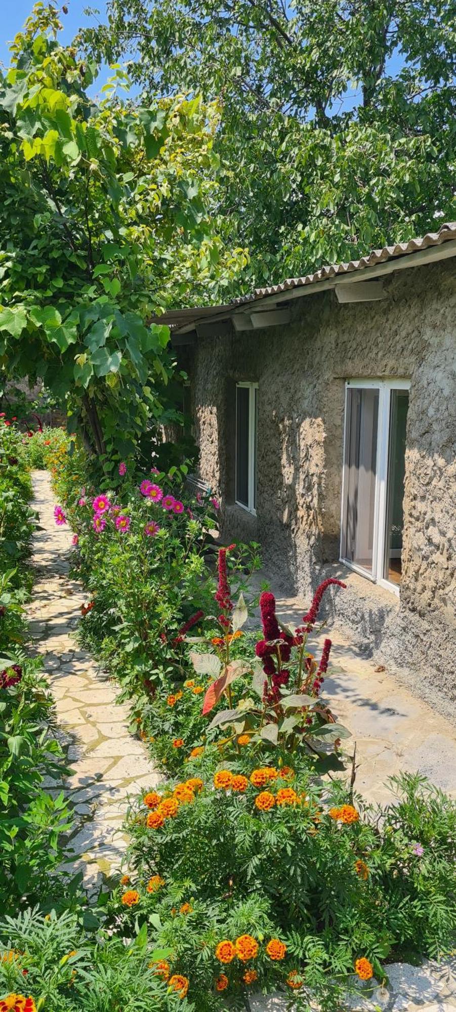 "Budur" Guest House Gandzakar エクステリア 写真